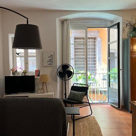 דירות Apartamento Con Encanto Y Terraza En Barri Vell De Girona, El Cul De La Lleona מראה חיצוני תמונה