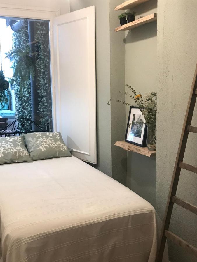 דירות Apartamento Con Encanto Y Terraza En Barri Vell De Girona, El Cul De La Lleona מראה חיצוני תמונה