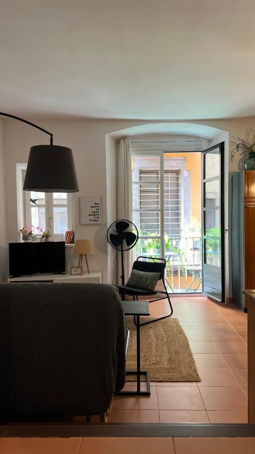 דירות Apartamento Con Encanto Y Terraza En Barri Vell De Girona, El Cul De La Lleona מראה חיצוני תמונה